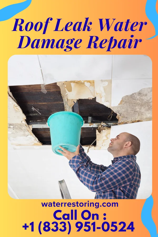 Roof Leak Water Damage Repair in Stoney Point, OK